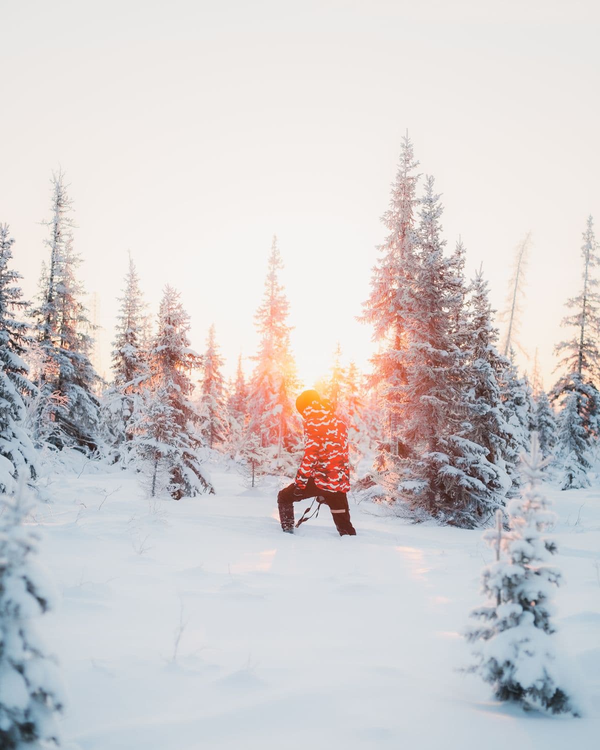 En person i röd jacka går genom snön mellan granar med låg vintersol rakt bakom sig