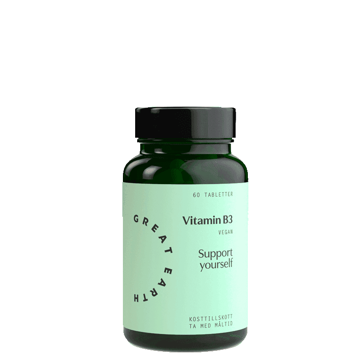 Great Earth Vitamin B3 Niacin, 60 tabletter