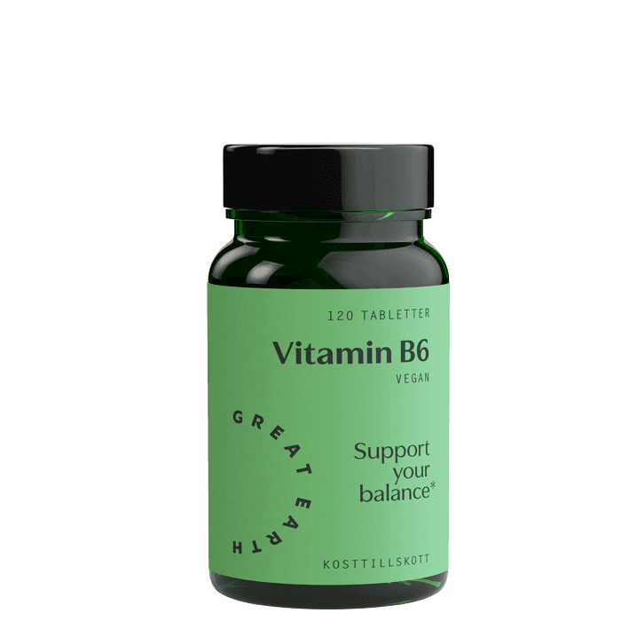Great Earth Vitamin B6, 120 tabletter