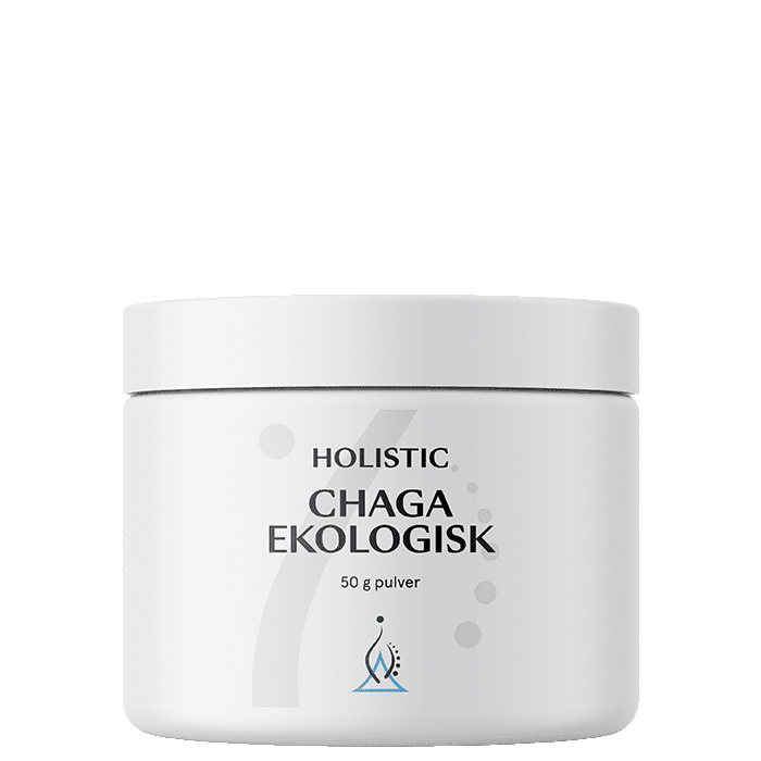 Holistic Chaga EKO, 50 g